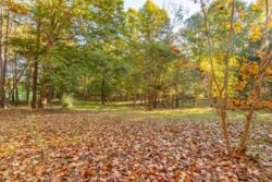 190 Carrs Ct-022.jpg