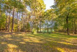 190 Carrs Ct-023.jpg