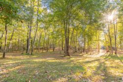 190 Carrs Ct-024.jpg